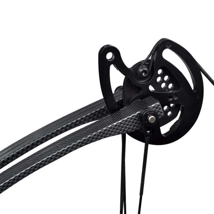 Adult Compound Bow With Accessories And Fiberglass Arrows