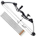 Adult Compound Bow With Accessories And Fiberglass Arrows
