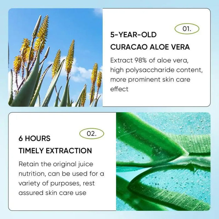 Aloe Vera Moisturizing Anti Dark Circles Smooth Eye Contour