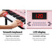 Alpha 61 Key Lighted Electronic Piano Keyboard Led Electric