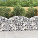 Arched Gabion Basket 150x30x80/100 Cm Galvanised Iron Optaaa