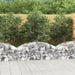 Arched Gabion Basket 150x50x40/60 Cm Galvanised Iron Optapx