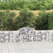 Arched Gabion Basket 200x30x60/80 Cm Galvanised Iron Optant