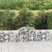 Arched Gabion Basket 200x50x60/80 Cm Galvanised Iron Optakt