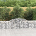 Arched Gabion Basket 300x30x60/80 Cm Galvanised Iron Optpbt