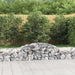 Arched Gabion Basket 300x50x40/60 Cm Galvanised Iron Optpox