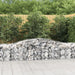 Arched Gabion Basket 400x50x60/80 Cm Galvanised Iron Optptt