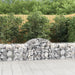 Arched Gabion Baskets 2 Pcs 200x50x60/80 Cm Galvanised Iron