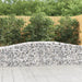 Arched Gabion Baskets 2 Pcs 400x50x60/80 Cm Galvanised Iron