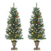 Artificial Christmas Trees 2 Pcs 100 Leds Green and White