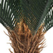 Artificial Cyac (cycad) Plant 60cm
