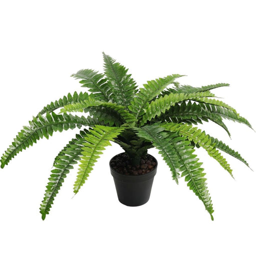 Artificial Potted Natural Green Boston Fern (50cm High 70cm