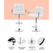 Artiss Set of 2 Bar Stools Gas Lift Swivel - Steel and White