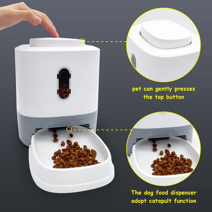 Automatic Non - slip Dry Food Dispenser For Small Medium