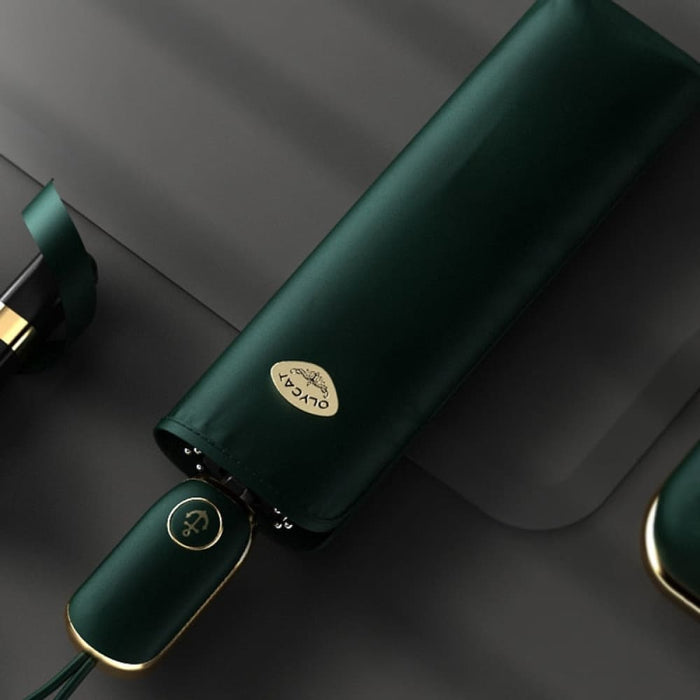 Automatic Wind Resistant Folding Umbrella for Women’s