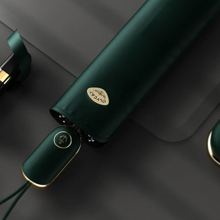 Automatic Wind Resistant Folding Umbrella for Women’s