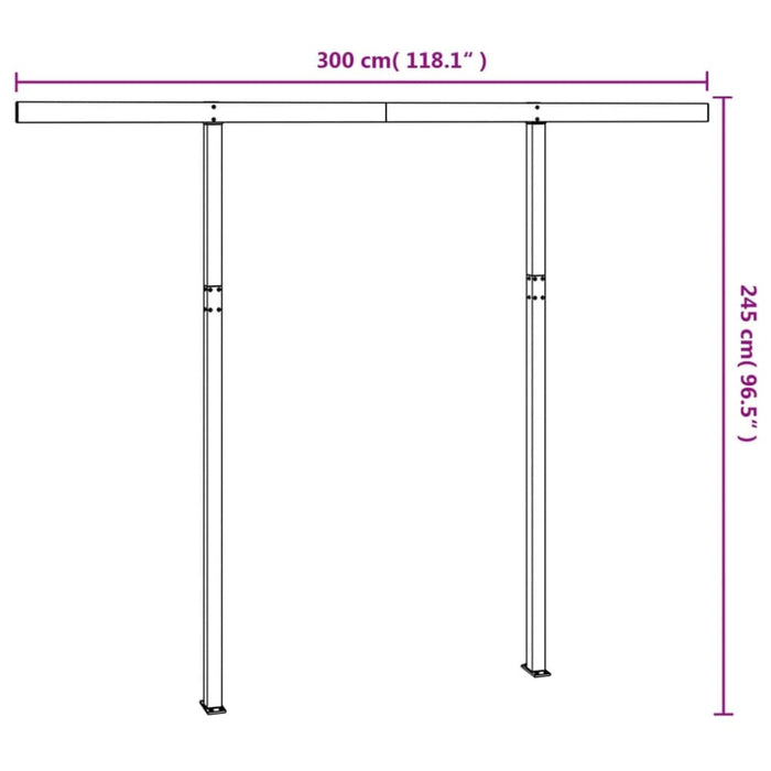 Awning Post Set Anthracite 300x245 Cm Iron Topbkk