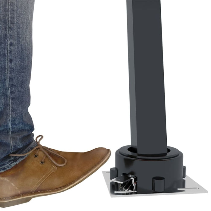 Awning Post Set Anthracite 300x245 Cm Iron Topbkl