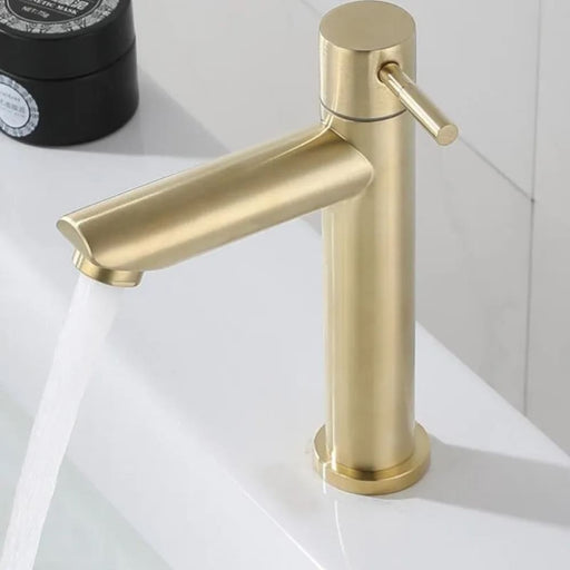 Baokemo 304 Stainless Steel Single Cold Water Tap