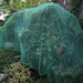 Pe Bird Proof Net Cover Fruit Tree Nets Garden Plant