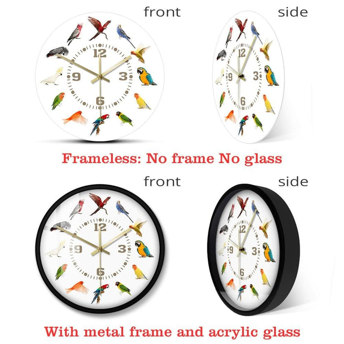 Birds Breeds Collection Modern Wall Clock Non Ticking Watch