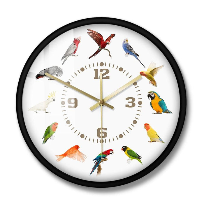 Birds Breeds Collection Modern Wall Clock Non Ticking Watch