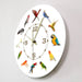 Birds Breeds Collection Modern Wall Clock Non Ticking Watch