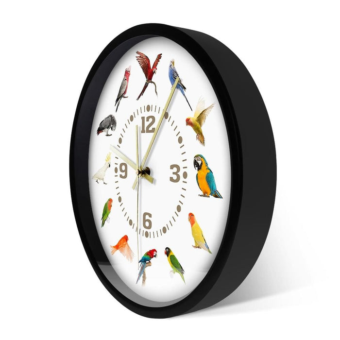 Birds Breeds Collection Modern Wall Clock Non Ticking Watch