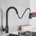 Black Kitchen Faucet with Flexible Pull out Nozzle and Hot