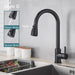 Black Kitchen Faucet with Flexible Pull out Nozzle and Hot
