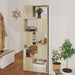 Book Cabinet Room Divider Sonoma Oak 60x24x155 Cm Nbkbkx