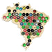 Brazil Beer Cap Map