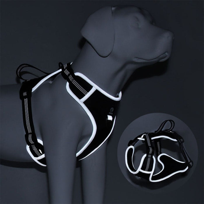 Breathable Mesh Reflective & Adjustable Dog Harness
