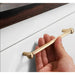 Brushed Gold Cabinet Handle For Kitchen Cupboards