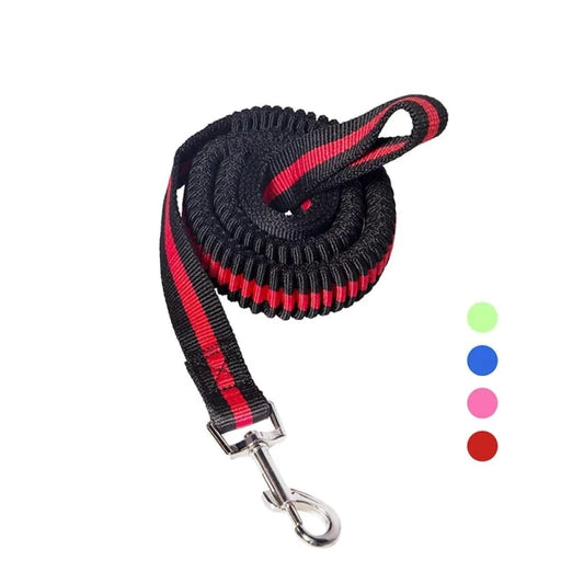 Bungee Dog Leash Lightweight Strong And Quick Release