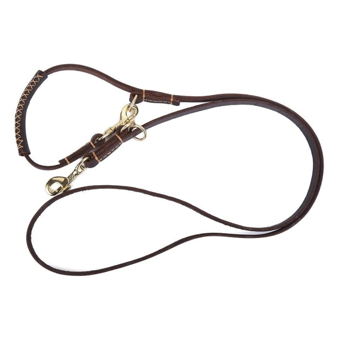 P Chain Collar Leather Handle Dog Leash