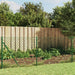 Chain Link Fence with Spike Anchors Green 1x25 m Optkxk