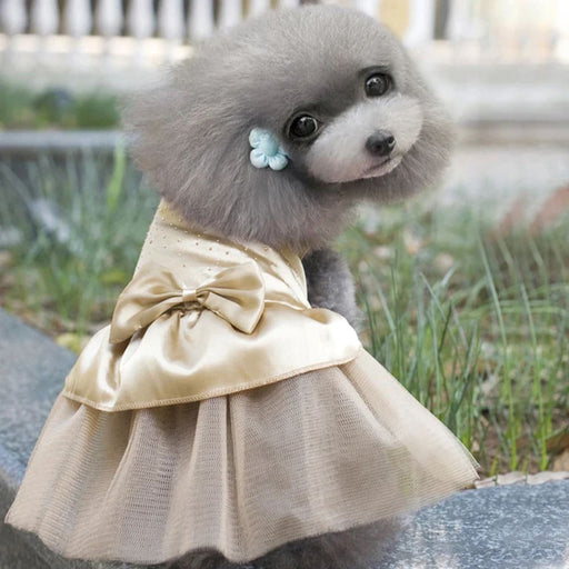Charming Dog Dresses For Summer Weddings