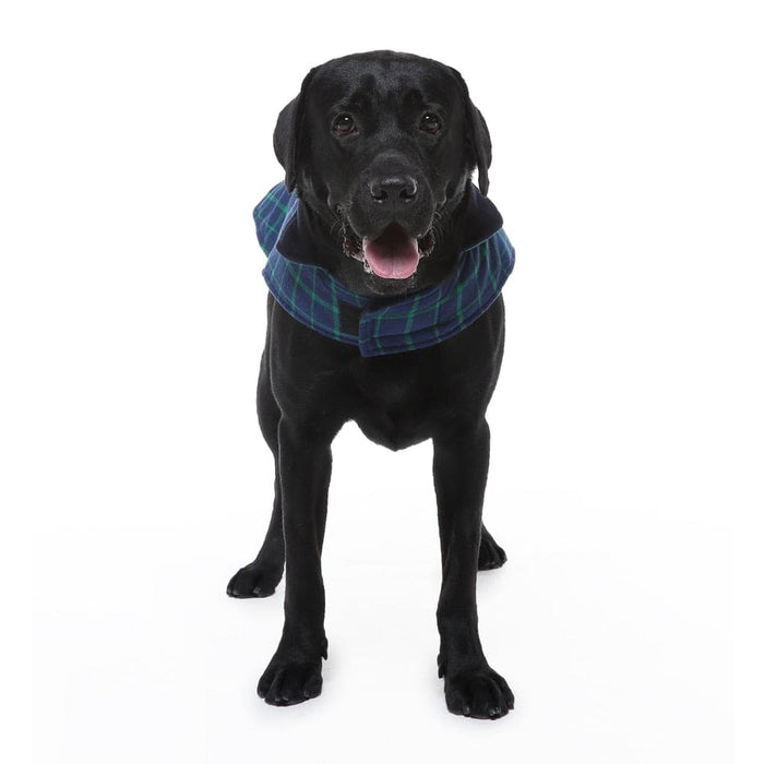 Check Design Warm Fleece Jacket for Dog