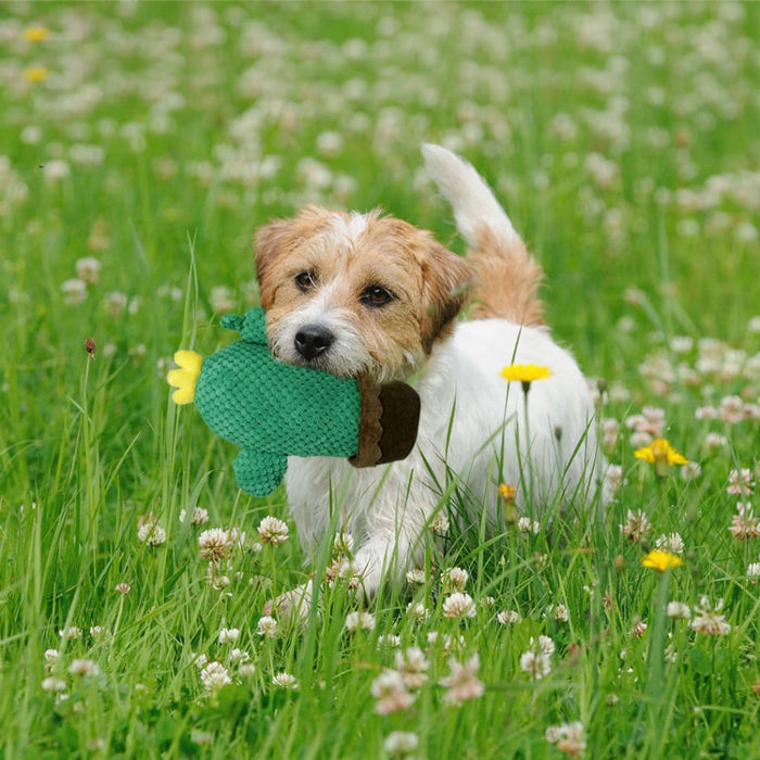 Dog Chew Toys Squeaky Puppy Soft Plush Non - toxic Teething