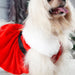 Christmas Dog Skirt For Winter