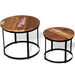 Coffee Table Set 2 Pieces Solid Reclaimed Wood Round