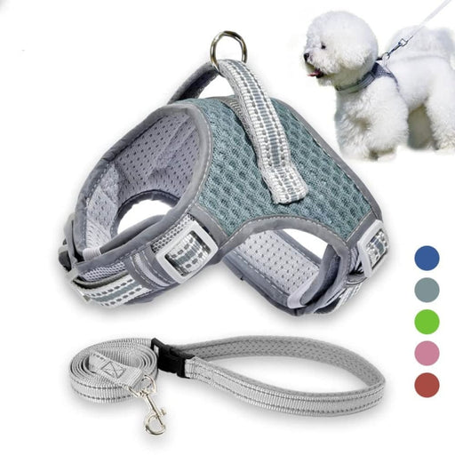 Comfortable No Pull Adjustable Dog Harness And Leash Set