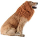 Comfortable Small Medium Large Dog Lion Mane Adjustable Wig
