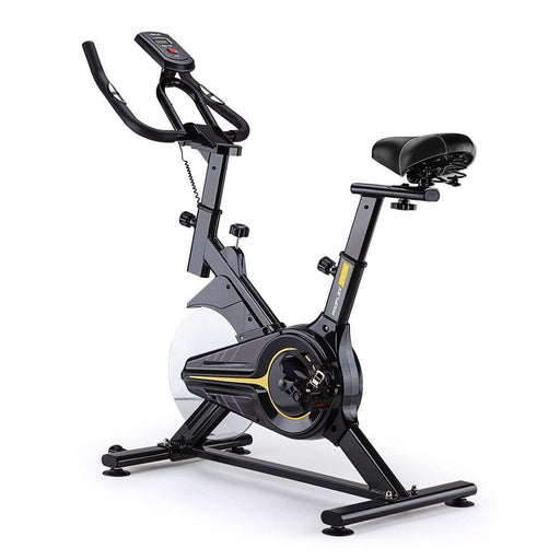 Commercial Spin Bike Flywheel Exercise Fitness Home Gym
