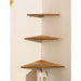 Dark Wood Corner Shelf for Home Display and Storage