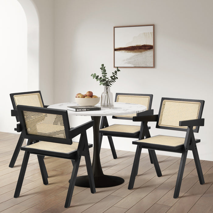 2X Dining Chairs Rattan Chair Wooden Accent Chair Balck