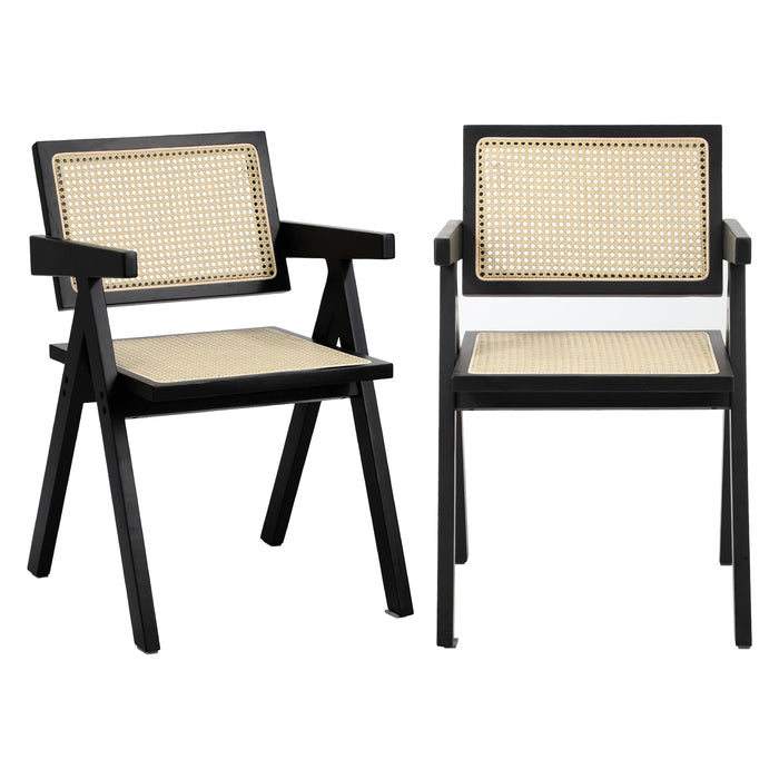 2X Dining Chairs Rattan Chair Wooden Accent Chair Balck