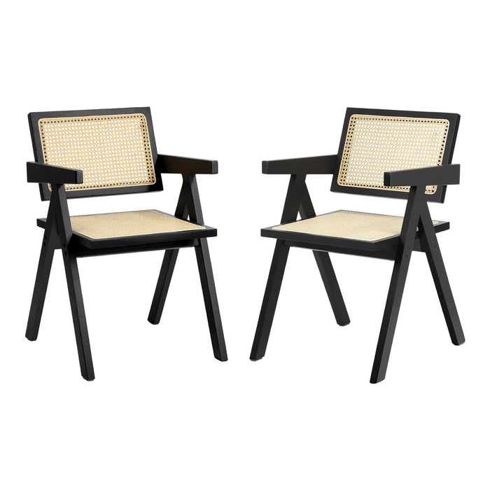 2X Dining Chairs Rattan Chair Wooden Accent Chair Balck