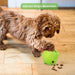 Dog Chew Toy for Small Medium Dogs Treat Dispensing Puzzle